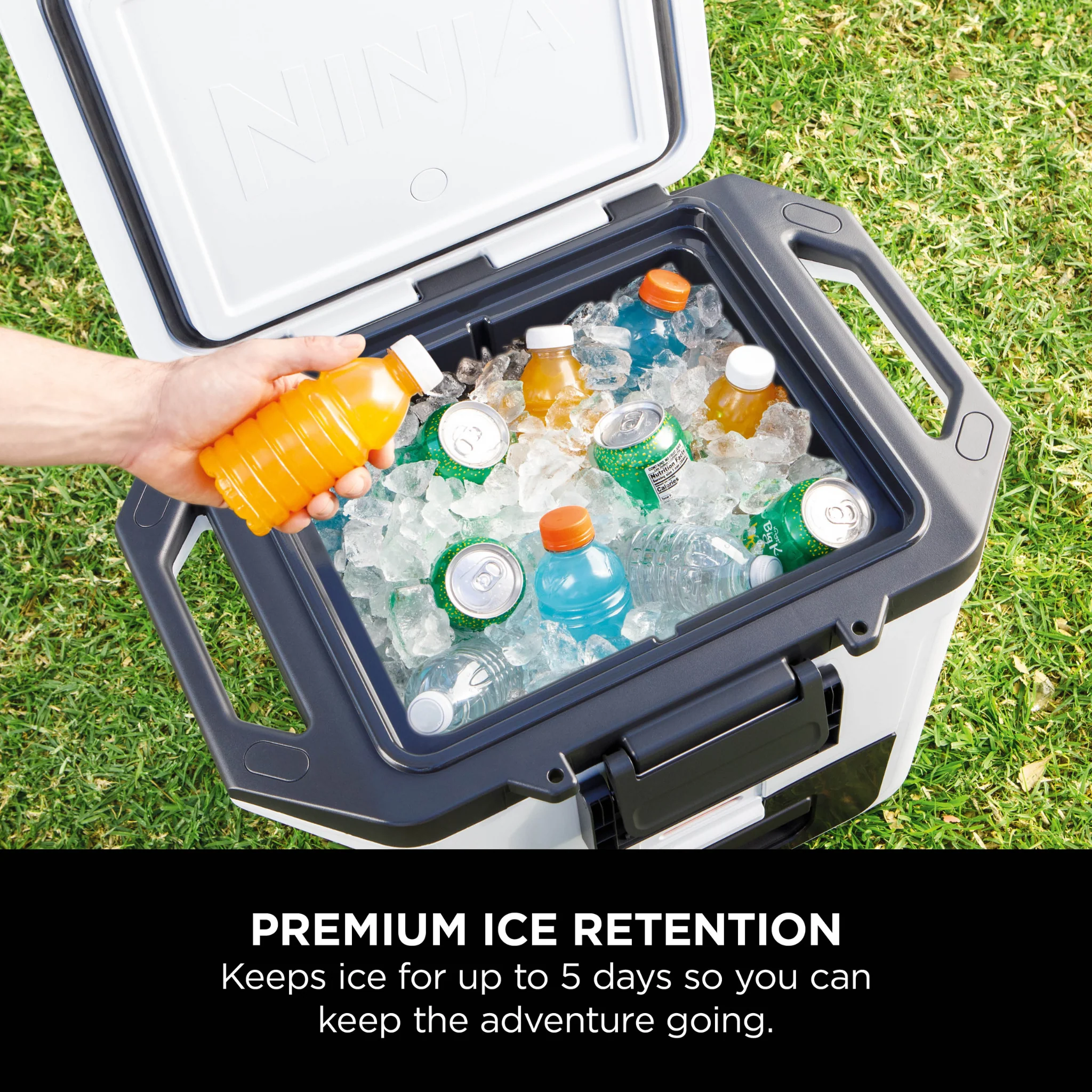 Ninja FrostVault 30QT/28L Hard Cooler - Cloud White FB131UKWH - Image 3