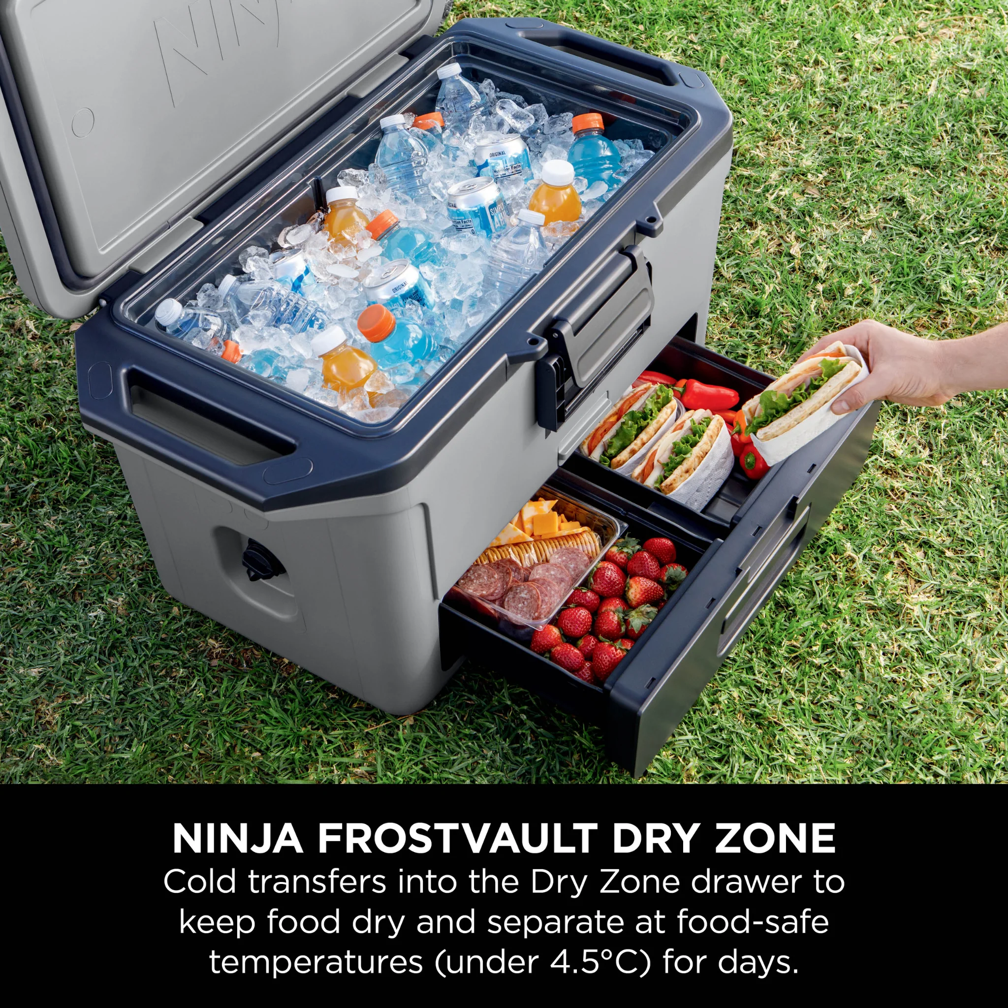 Ninja FrostVault 50QT/47L Hard Cooler - Slate Grey FB151UKGY - Image 7